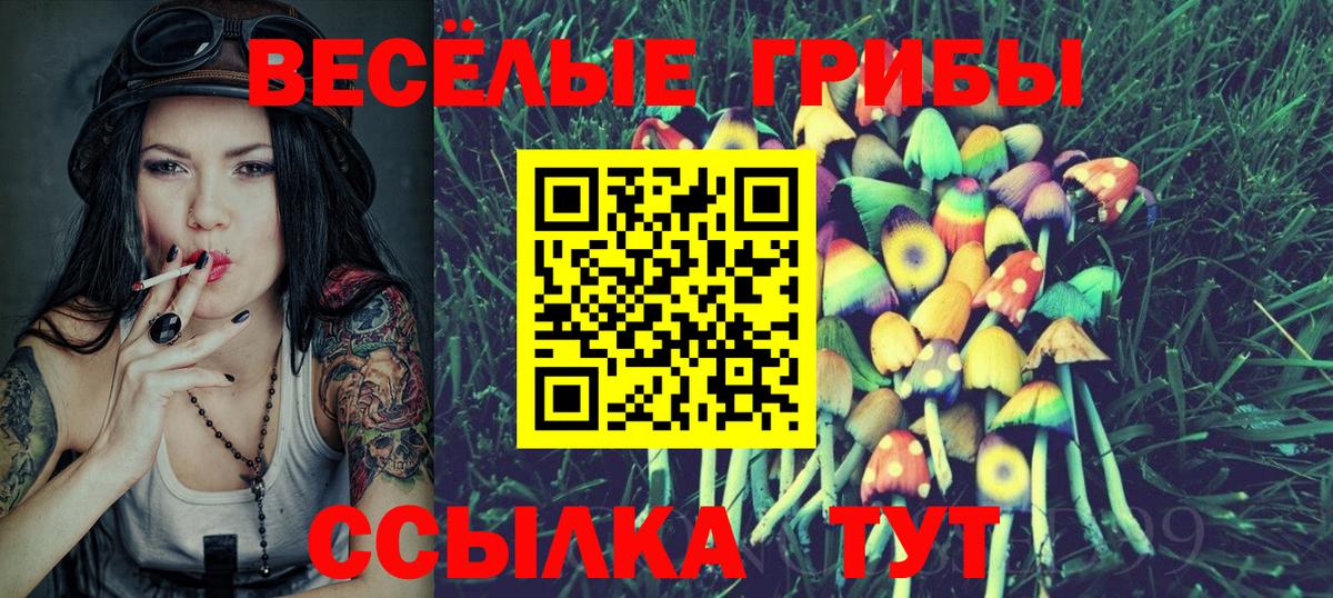 Новоуральск  Псилоцибиновые грибы MAGIC MUSHROOMS  Вход с VPN 