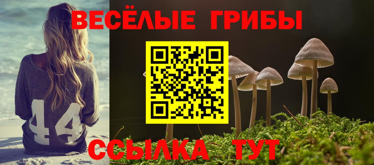 Псилоцибиновые грибы прущие грибы Новоуральск